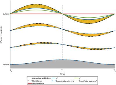 A natural vertical distribution calculation scheme for salinity simulation in free-surface model with quasi-stationary coordinates